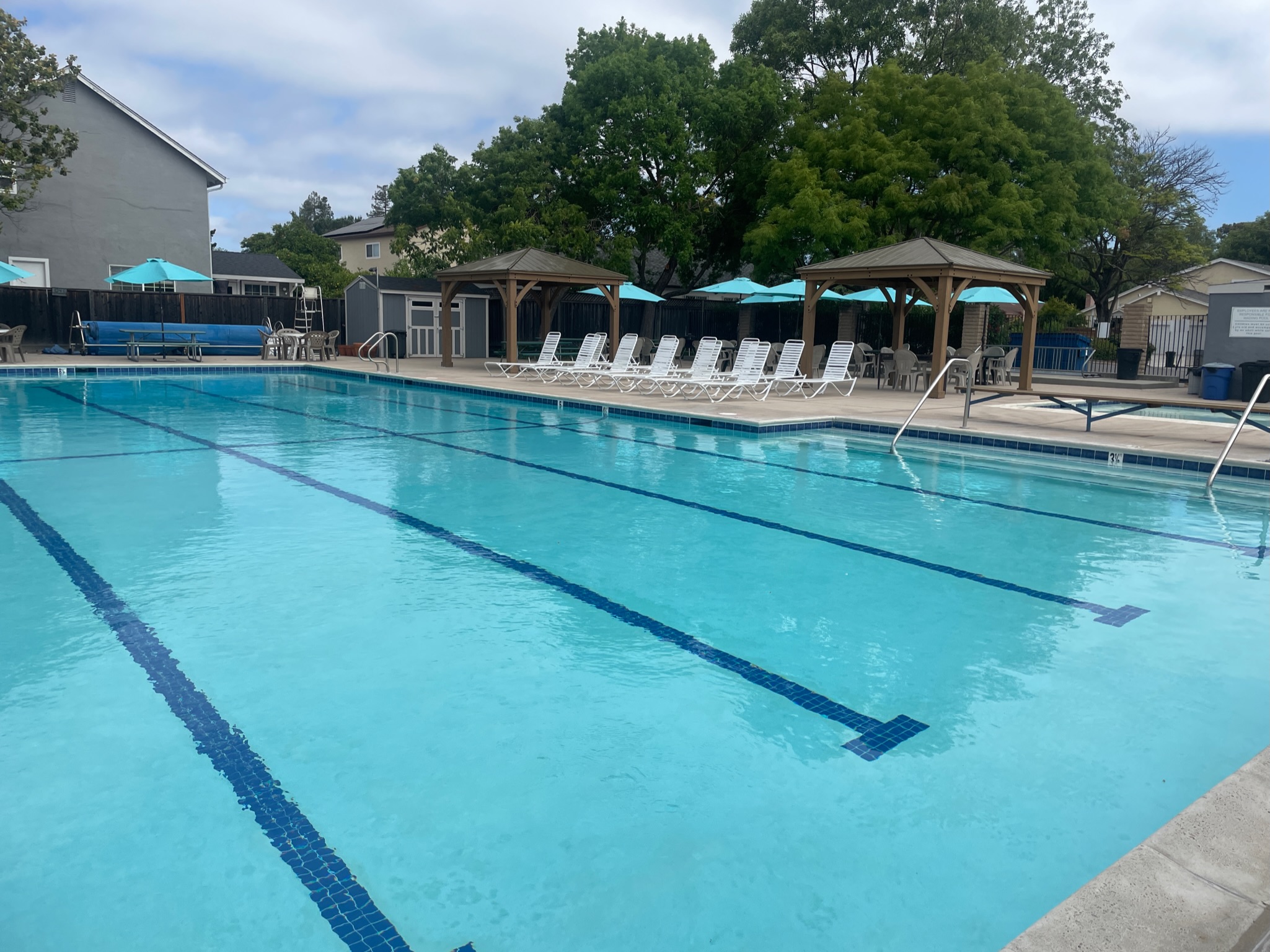 Lap Pool